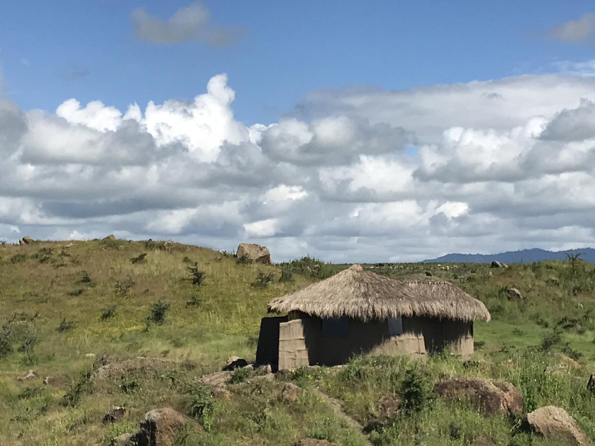 Osiligilai Maasai Lodge Sanya Juu Eksteriør bilde